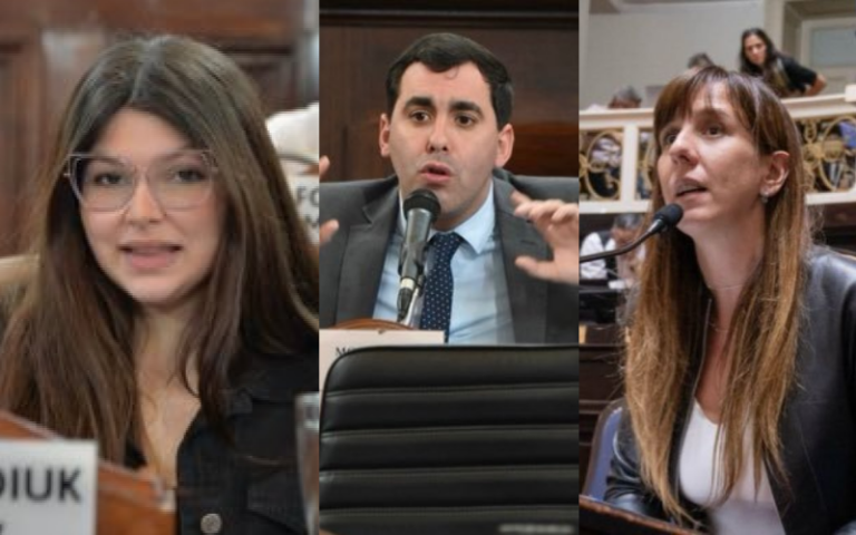 La nueva arena de la política: los dirigentes platenses que pisan fuerte en redes
