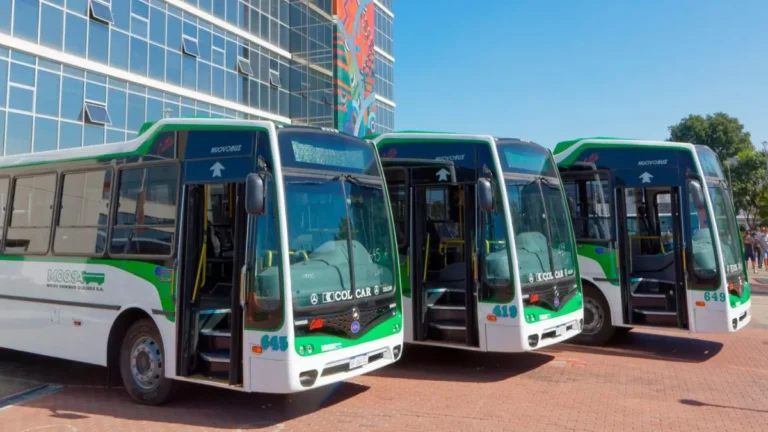 Choferes en conflicto: ocho líneas de colectivo circulan con servicio limitado en el AMBA