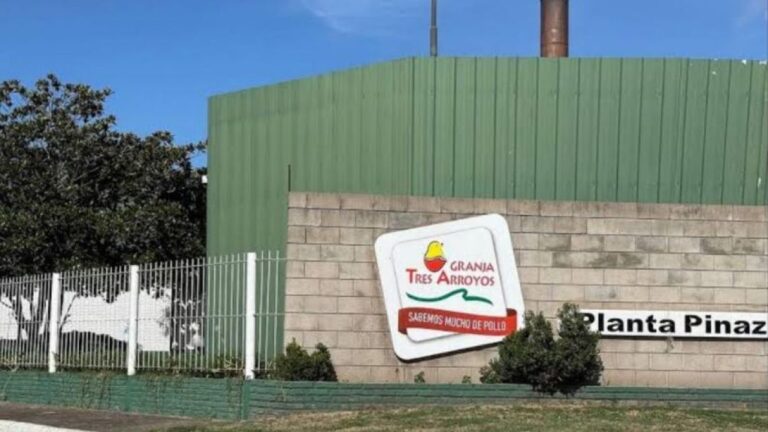 Crisis en Granja Tres Arroyos: ofrecieron pagar parte de los salarios con pollos